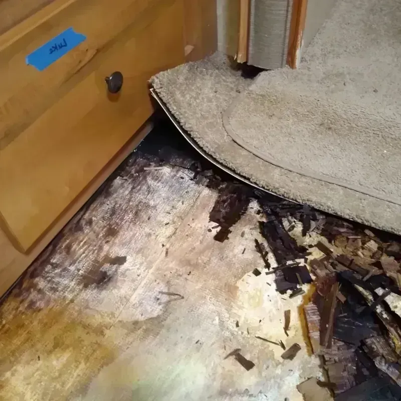 Wood Floor Water Damage in East Jordan, MI